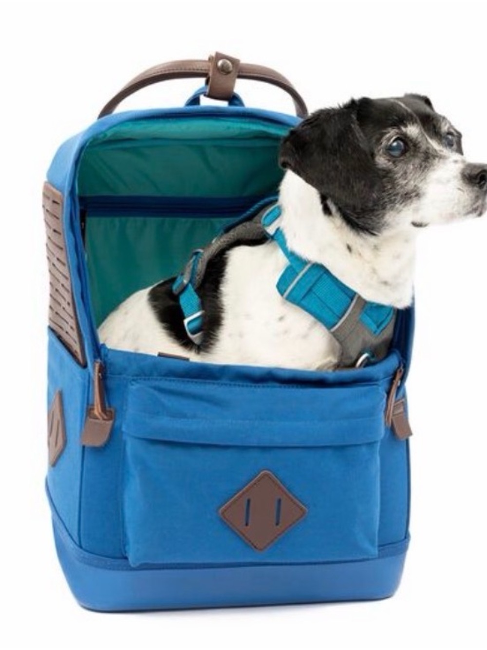 Kurgo Blue Backpack Pet Carrier with Teal Interior